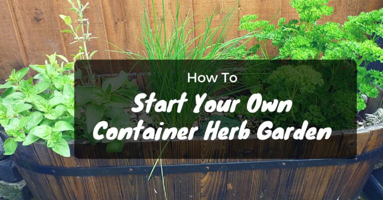 How To Start Your Own Container Herb Garden