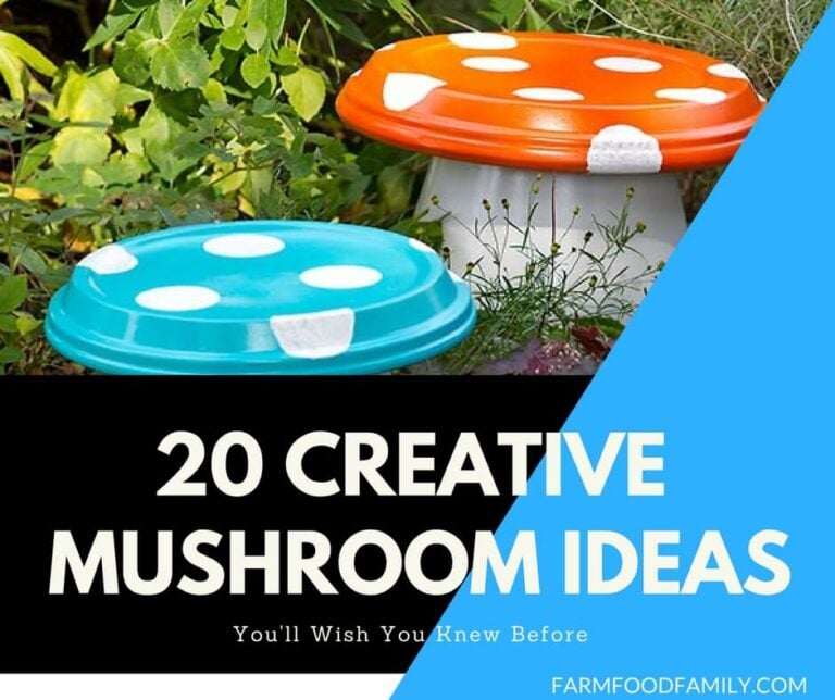 20 Creative Mushroom Projects For Your Garden