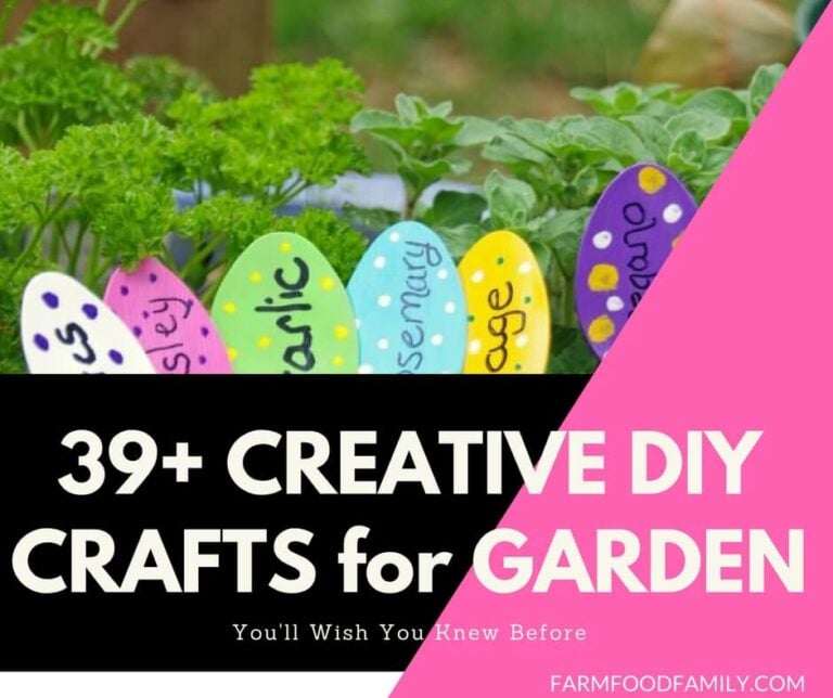 39+ Creative and Colorful DIY Crafts for Your Garden