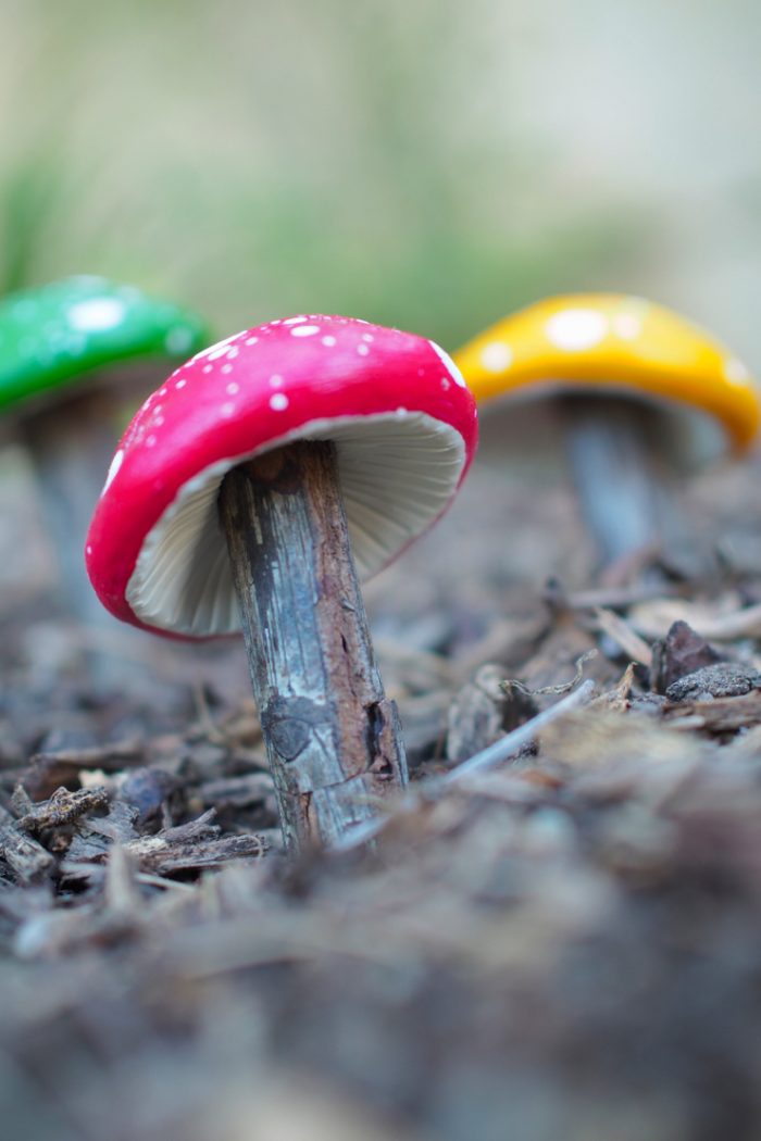Magical Clay Toadstools
