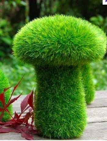 Mossy Green Mushroom