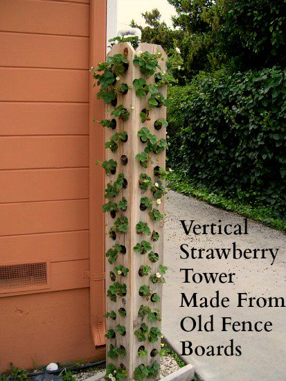 Picket Fence Strawberry Tower