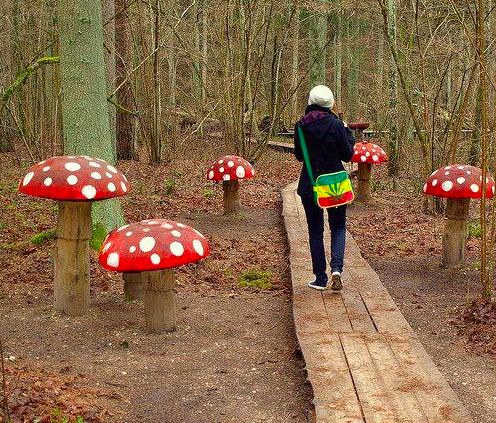 Wooden Forest Toadstools