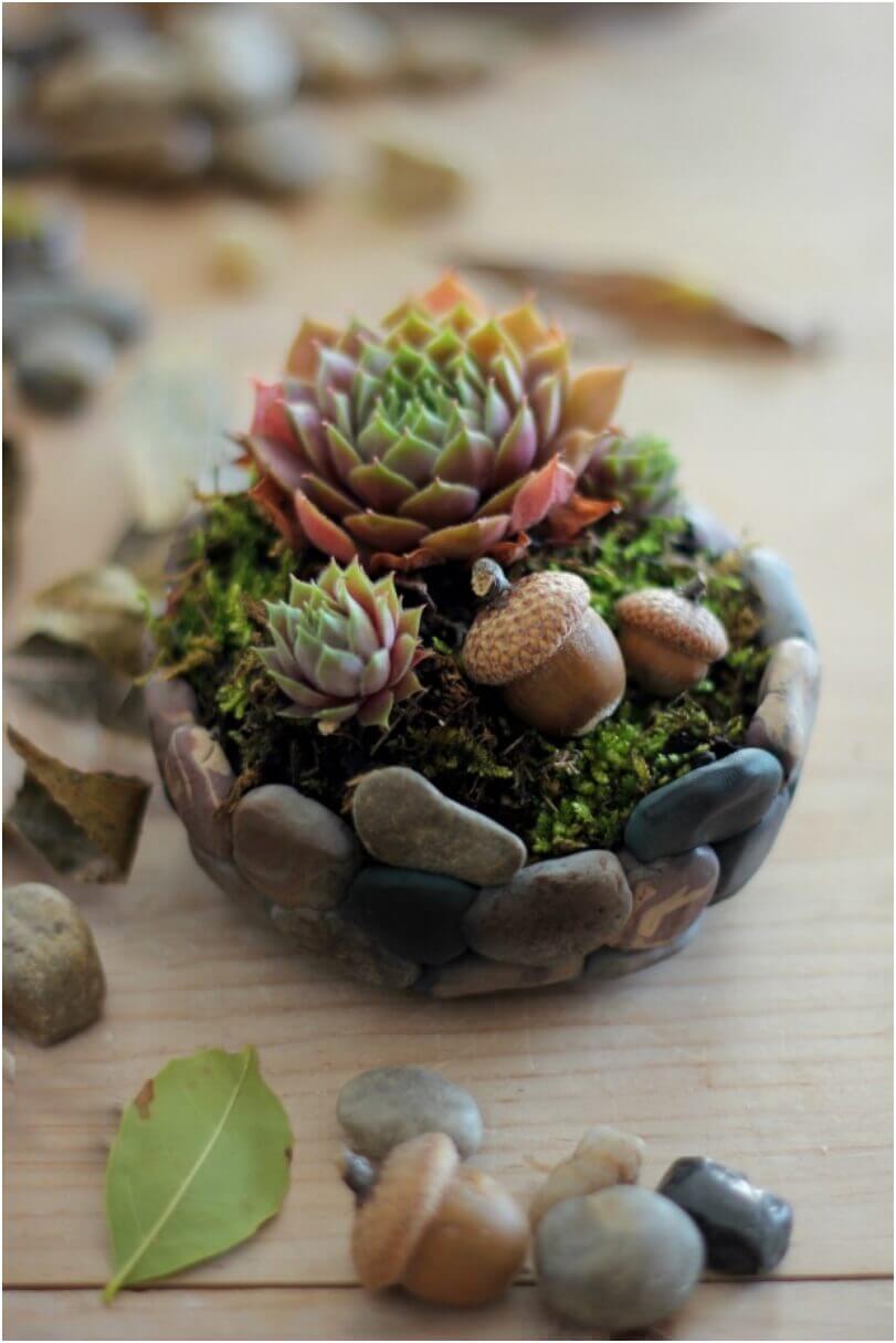 DIY Rock Mini Succulent Planter