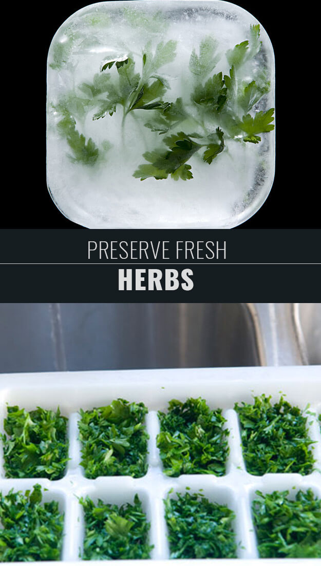 Preserve Fresh Herbs