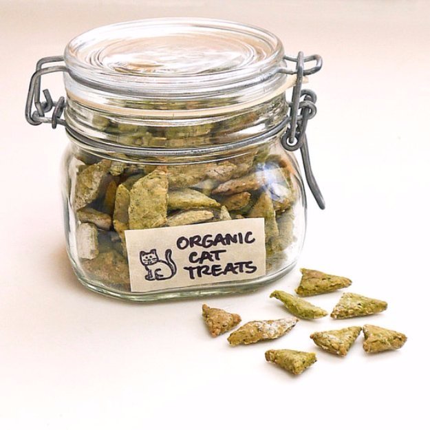 Homemade Organic Spinach And Chicken Cat Treats