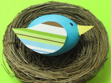 Bluebird Egg