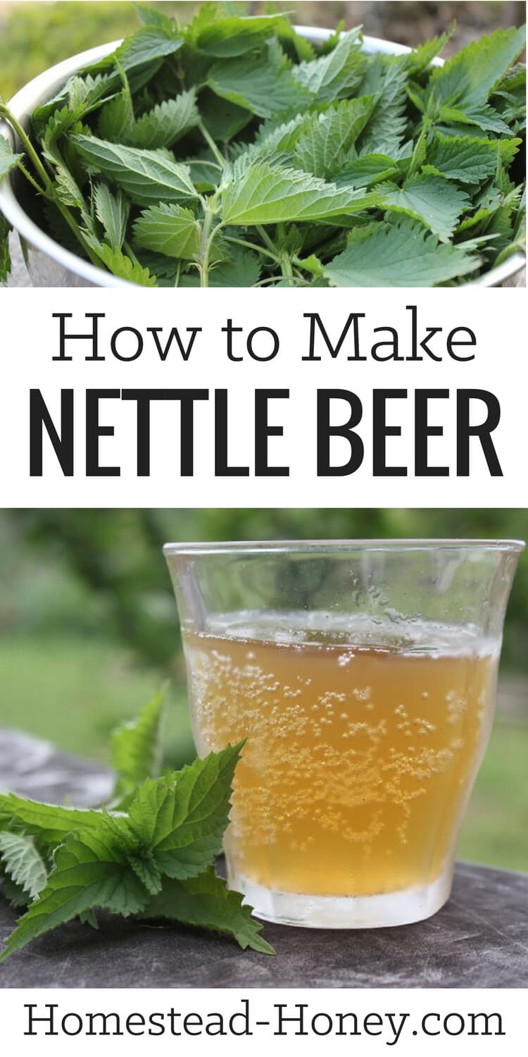 Nettle Beer Recipe