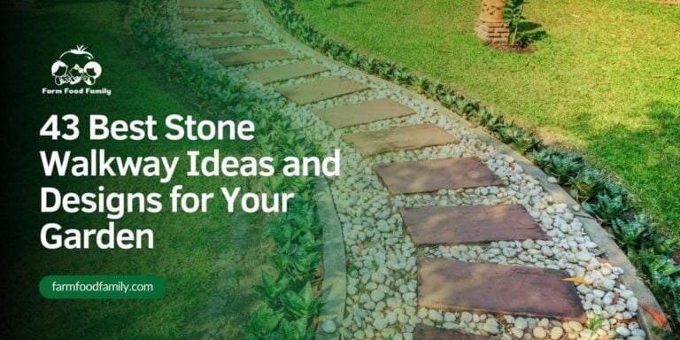 24 Best Stone Walkway Ideas That Won’t Sink, Shift, or Wash Out