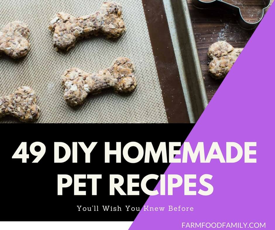 49 DIY Homemade Pet Recipes For Your Dogs And Cats