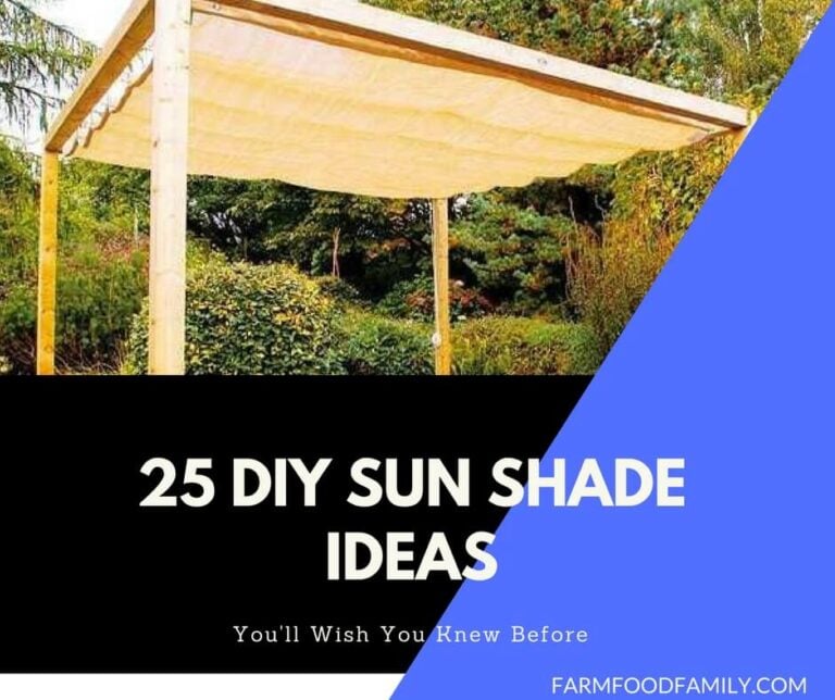22 Easy DIY Sun Shade Ideas for your Beautiful Backyard
