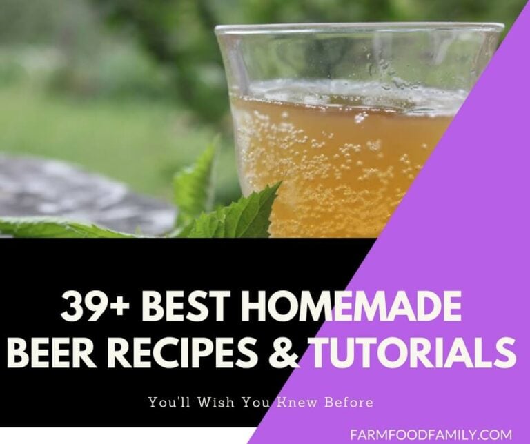 39 Best Homemade Beer Recipes & Tutorials