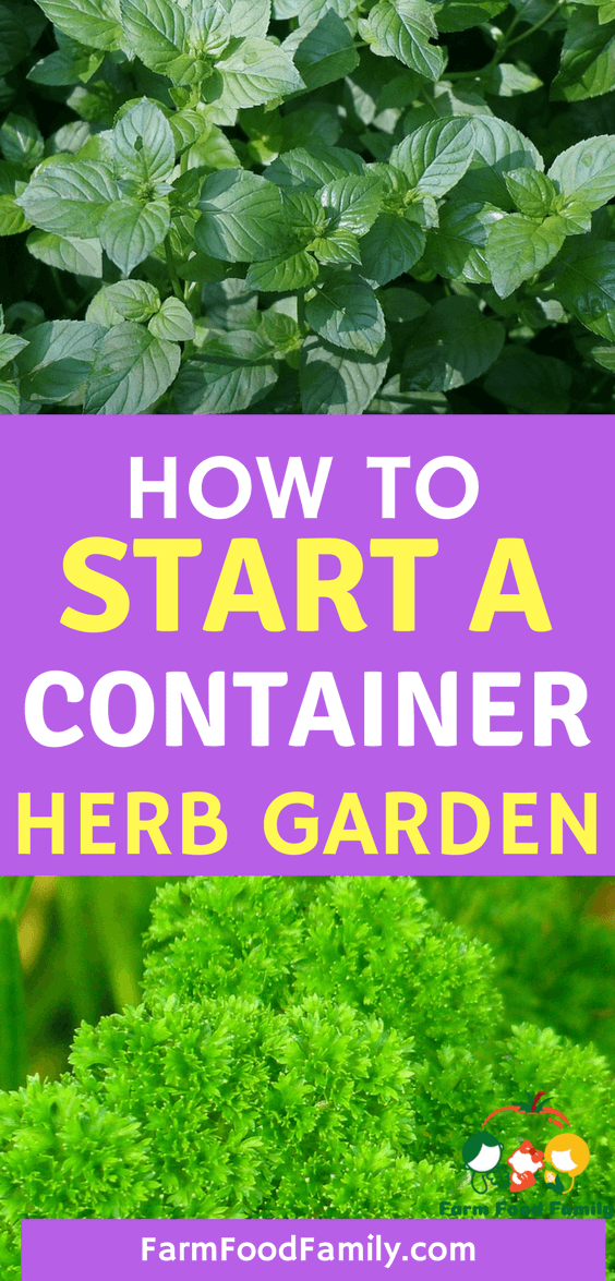 For many of us across North America, the last frost of the season has passed, which means that right now is the perfect time to jump on planting an herb garden to make the most ofthe growing season.