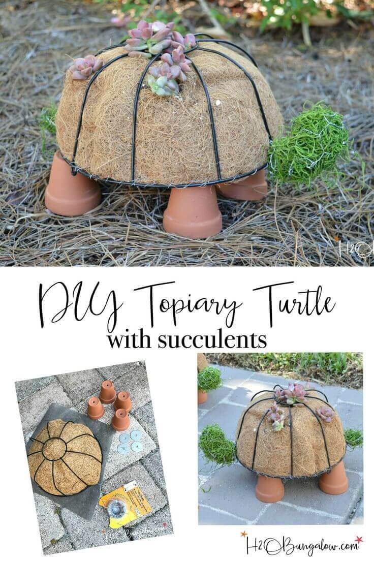 Topiary Turtle with Cute Succulents