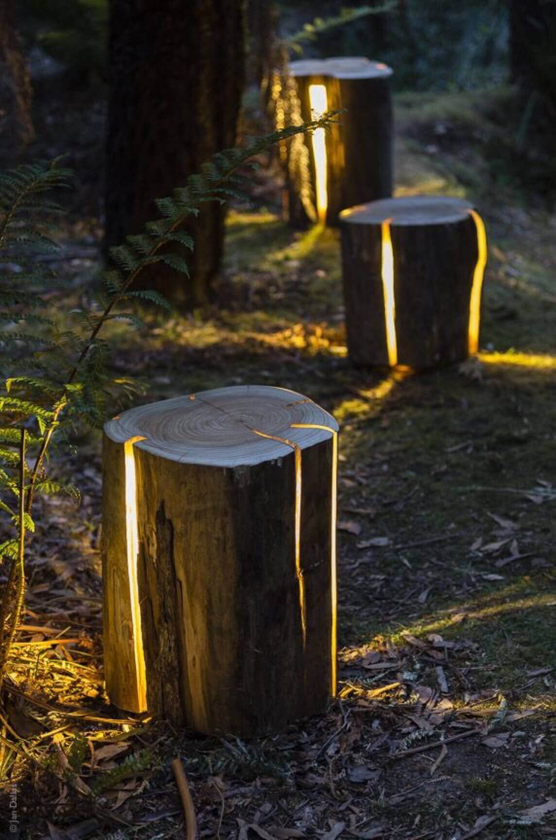 Natural Illuminated Log Pathway Lights