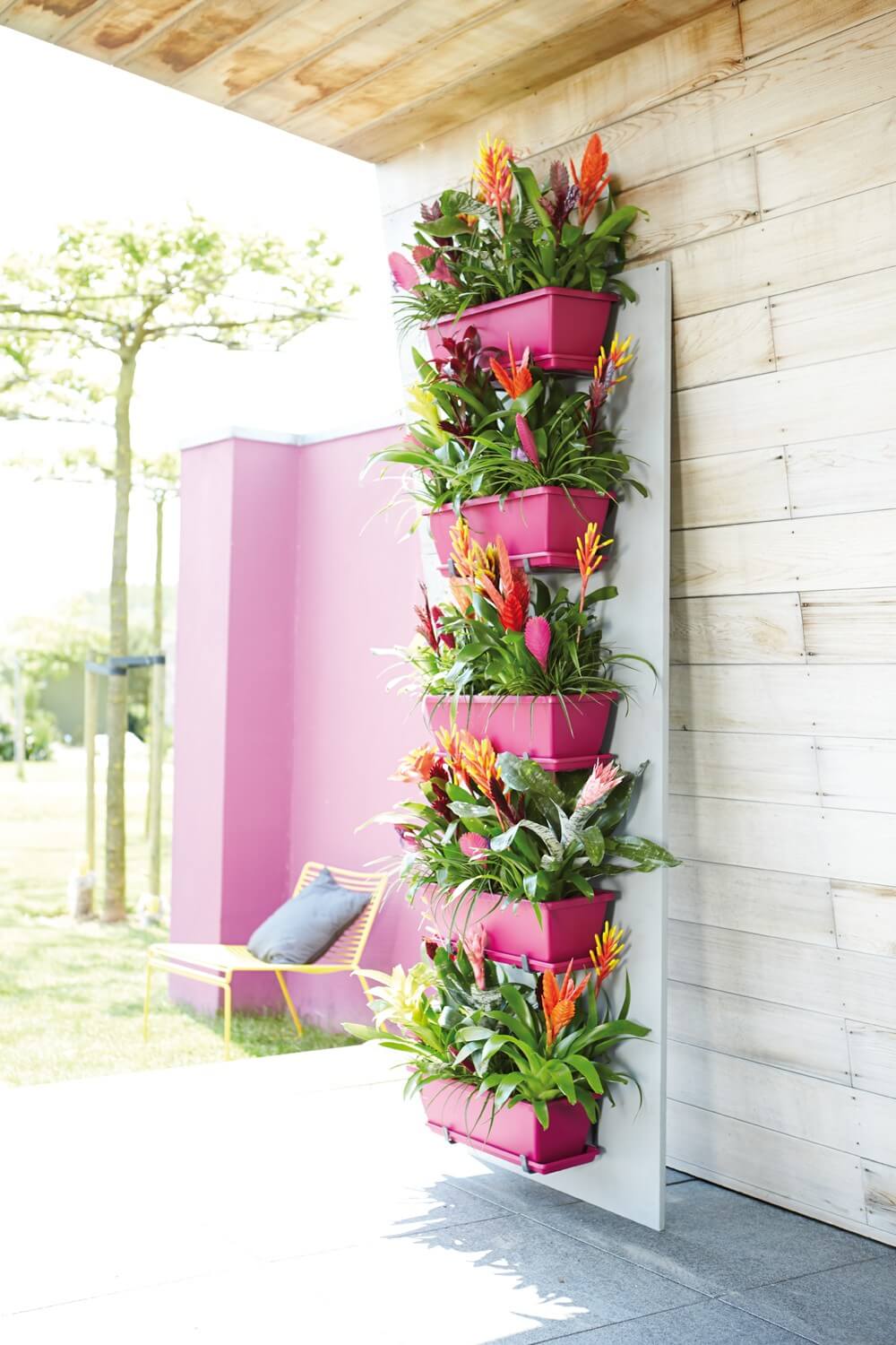 Bright Pink Adds a Pop of Color and Accents Vibrant Bromeliads