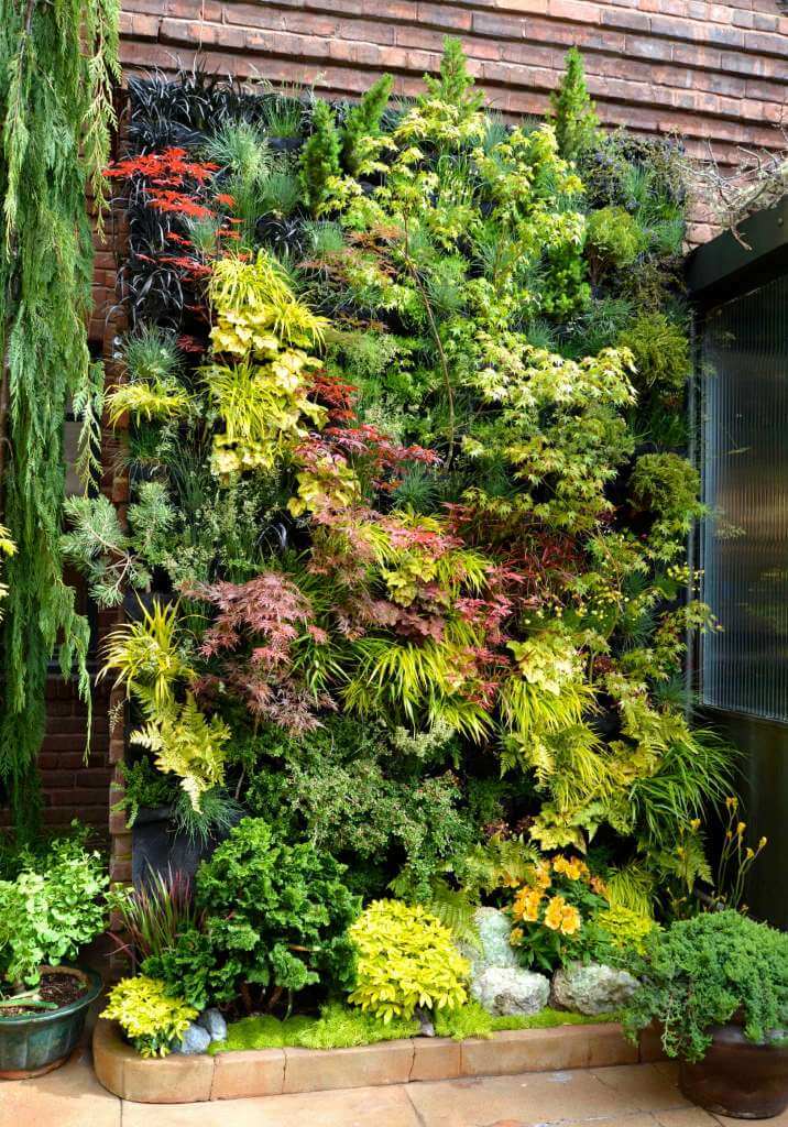 Create a Living Wall of Leaves