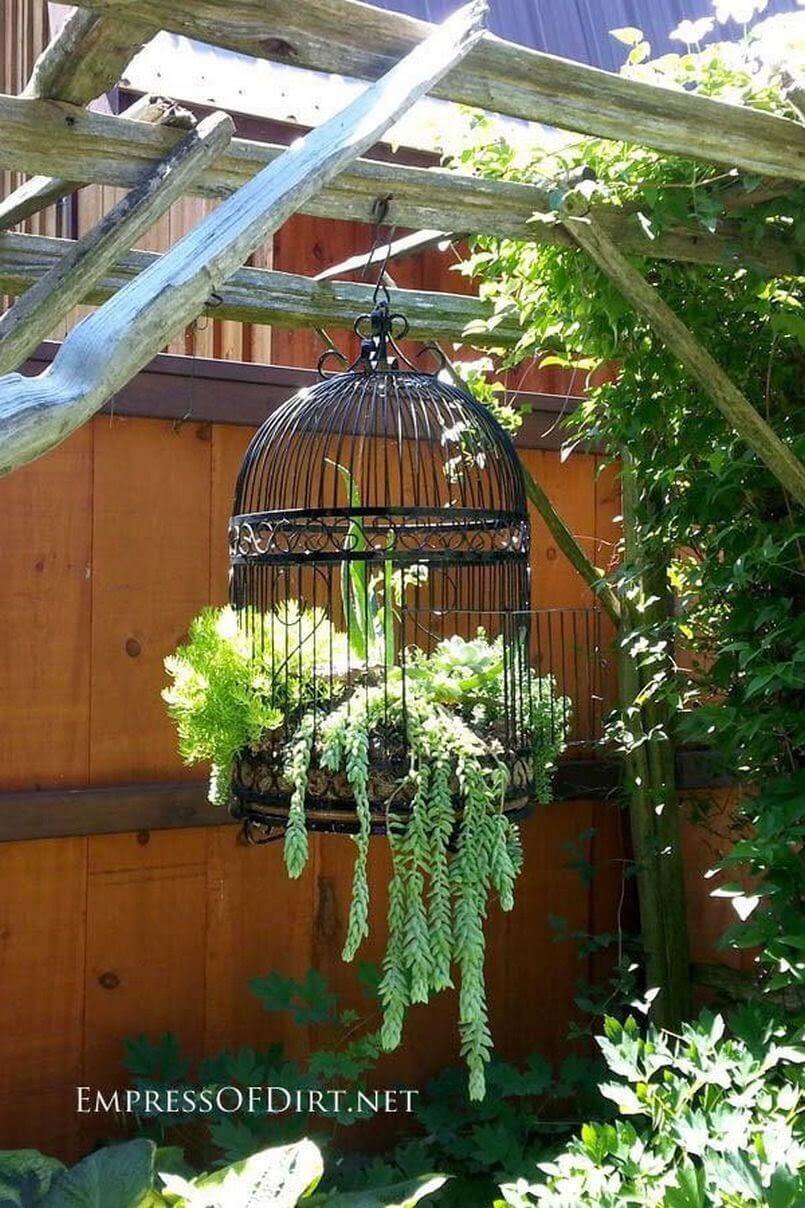 Birdcage with Lush Hanging Greens