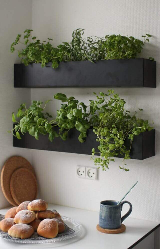 Kitchen Shelf Herb Garden