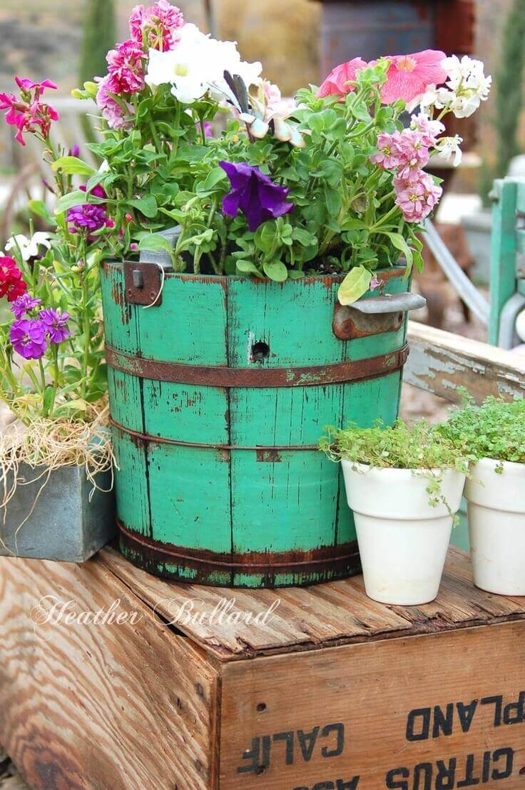 Old Painted Barrels and Crates with Petunias
