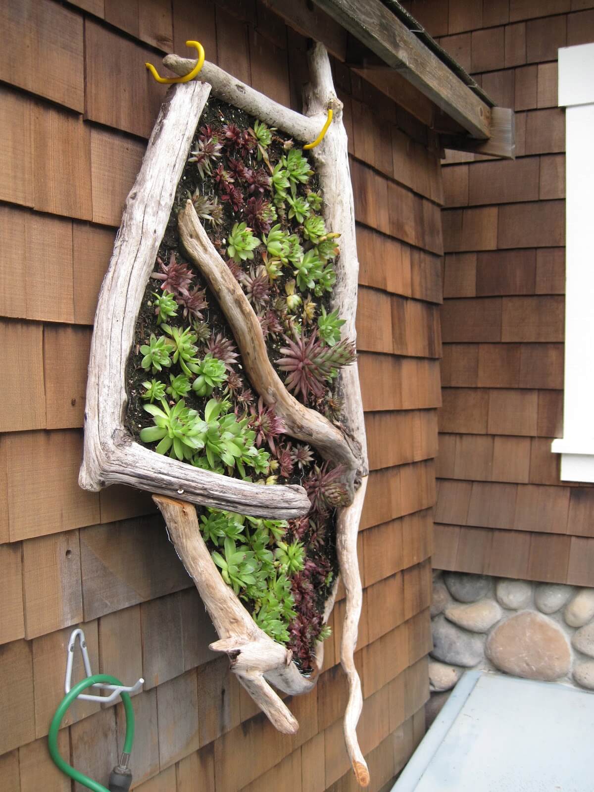 A Vertical Garden Idea for a Seaside Cottage