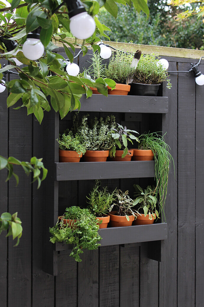 Wall Shelf with a Herb Garden