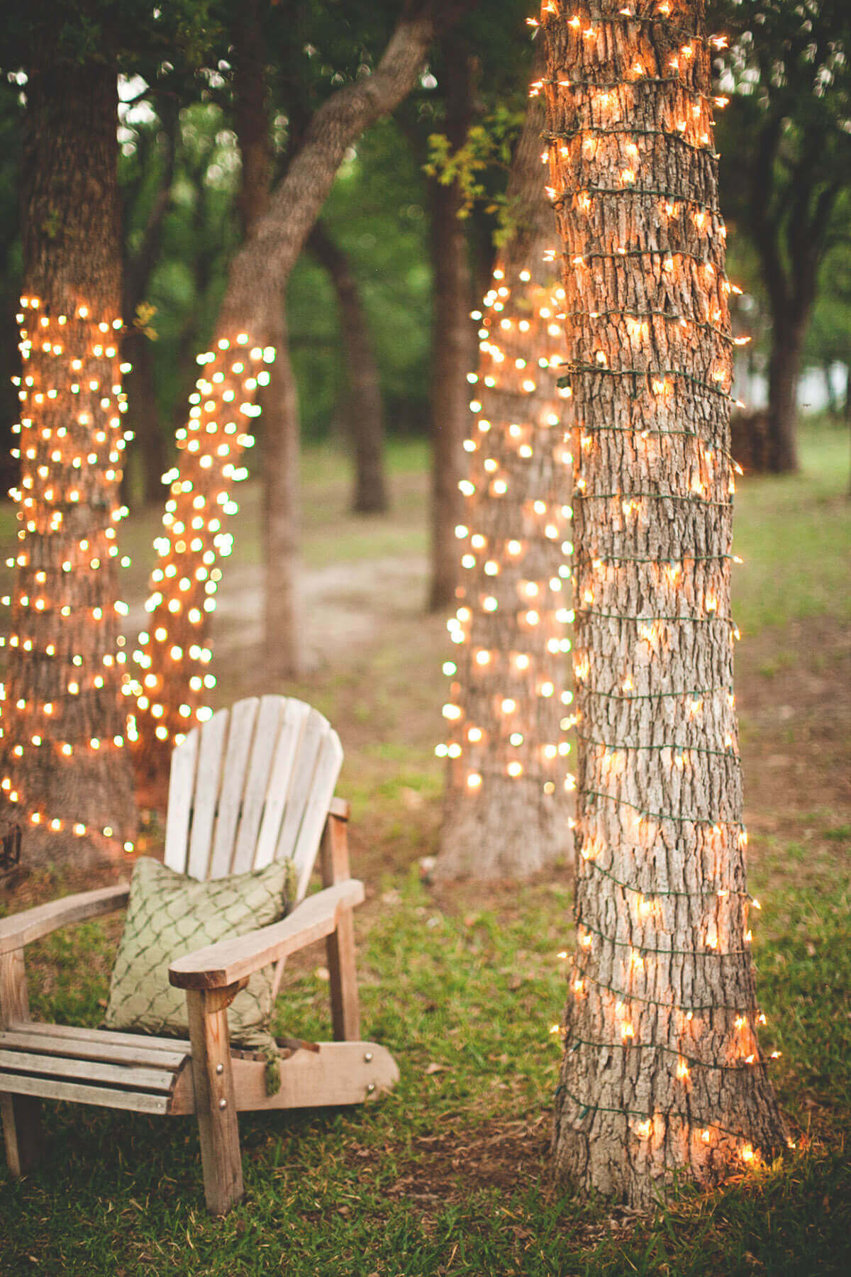 Tree Trunks Wrapped in String Lights