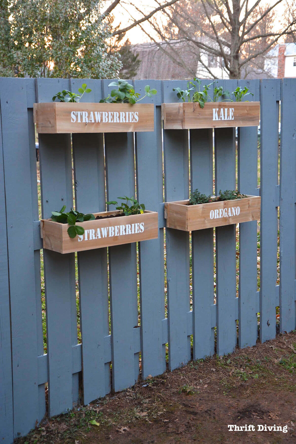 Wall Planter Garden with Stenciled Lettering