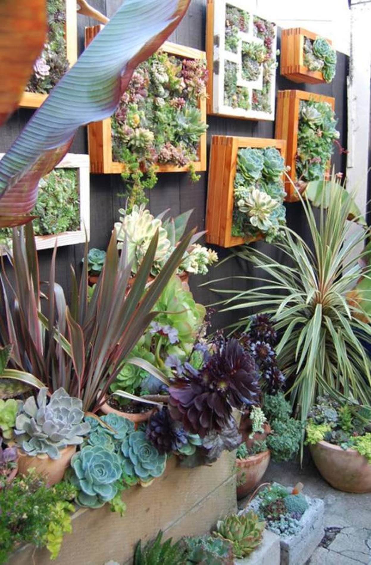 Natural Wood Frames House a Miniature Garden