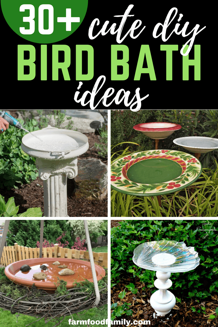 Make your garden charming and inviting by creating a diy bird bath to attract feathered friends in your backyard