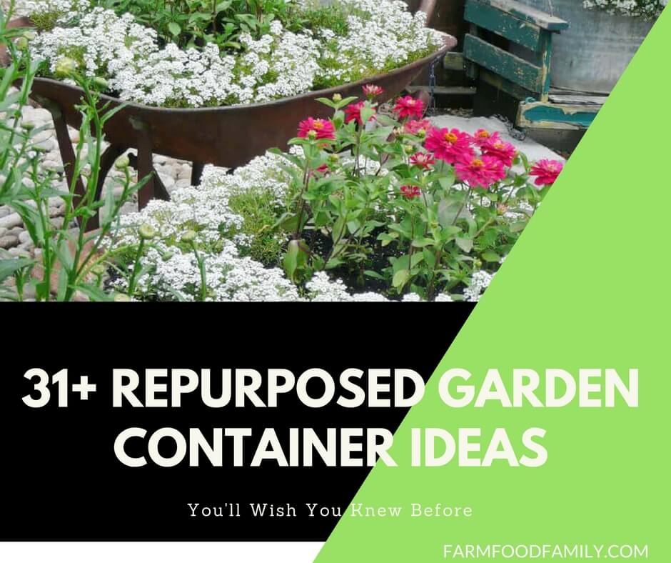 31+ Creative Repurposed Garden Container Ideas You Can Create on a Budget