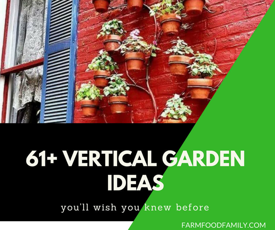 61+ Best Vertical Garden Ideas That Will Change the Way You Think About Gardening
