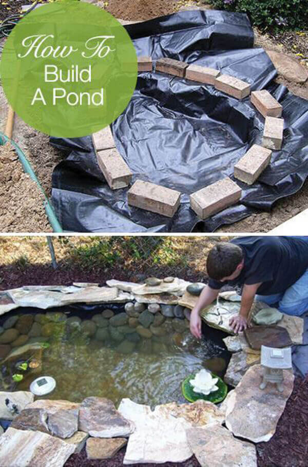 Small Free-Form DIY Backyard Pond