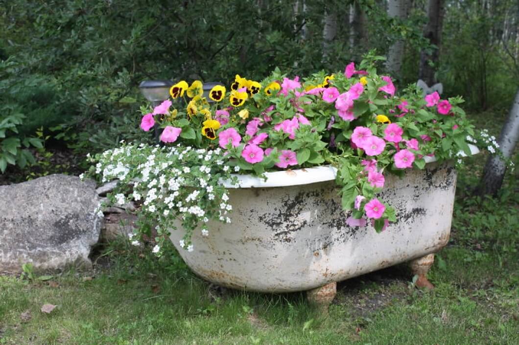 Antique Bathtub as Garden Décor
