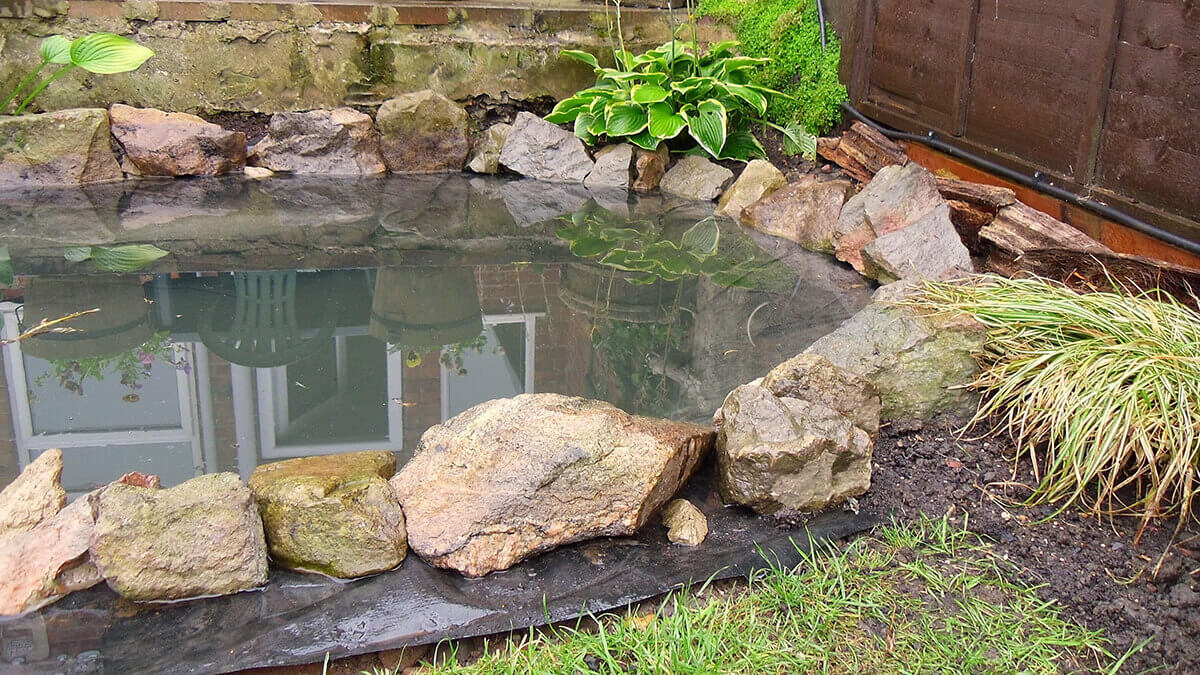 Hand Dug Garden Fish Pond