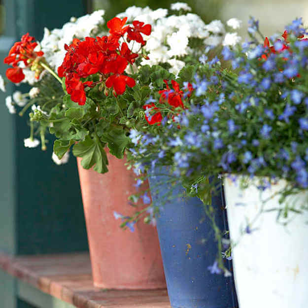 Red, White, And Blue Planters