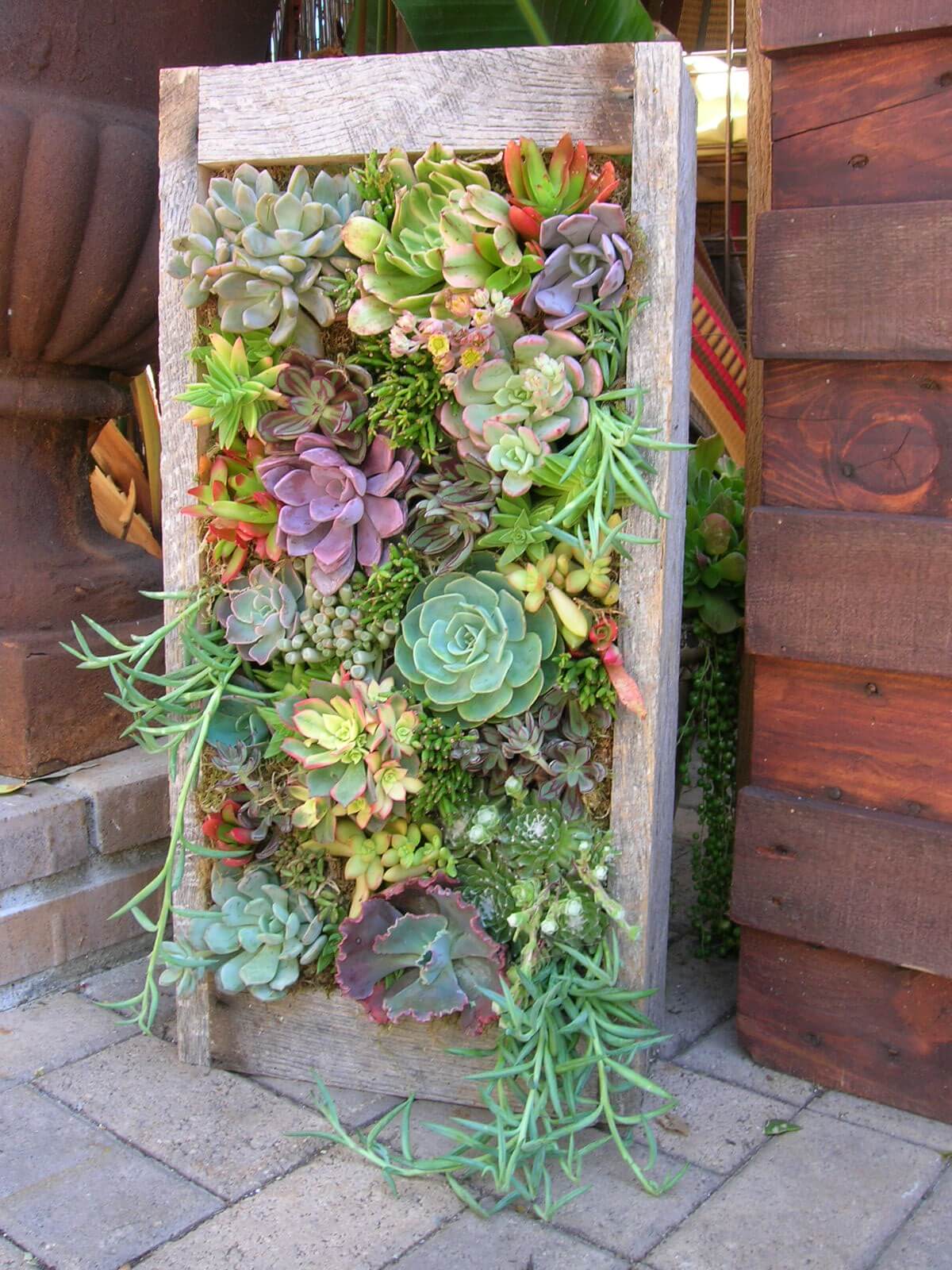 Succulent Garden Ideas: Stand And Deliver!