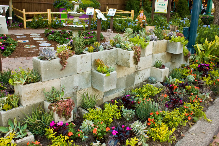 Succulent Garden Ideas: Cinder, Cinder On The Wall
