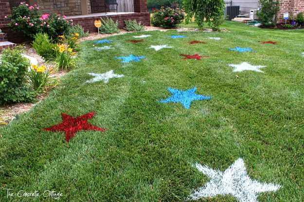Starry Starry Lawn