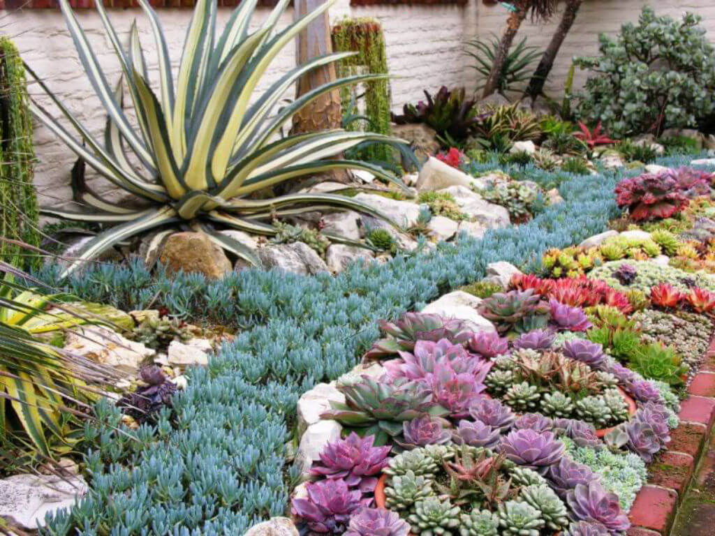 Succulent Garden Ideas: A Little Bit Of Heaven