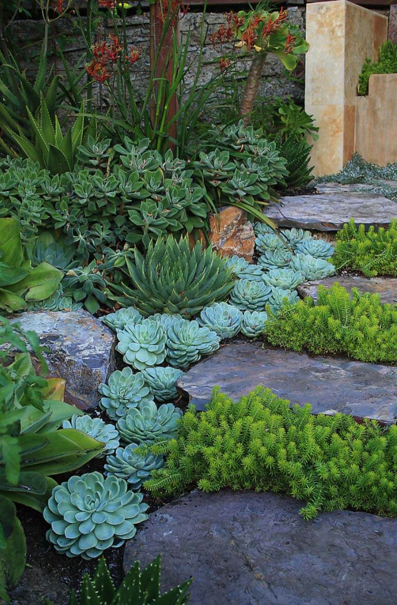 Succulent Garden Ideas: Meditation Walk