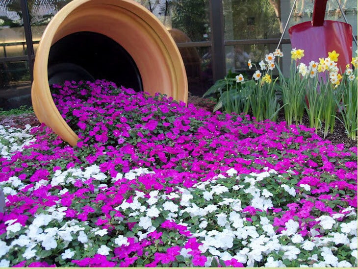 Spilled Flower Pot Ideas