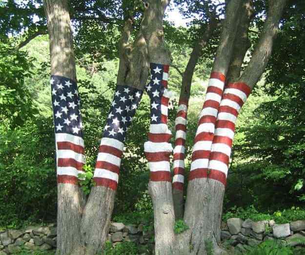 Patriotic Trees