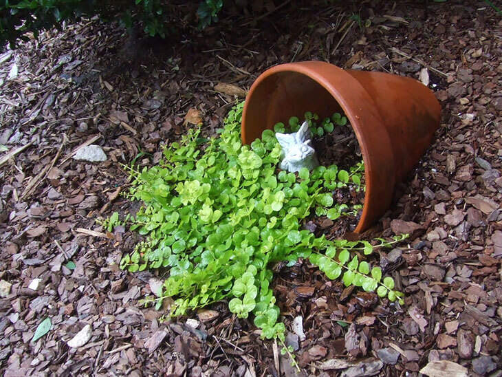 Spilled Flower Pot Ideas