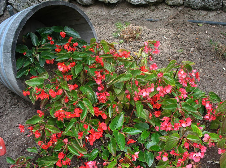 Spilled Flower Pot Ideas