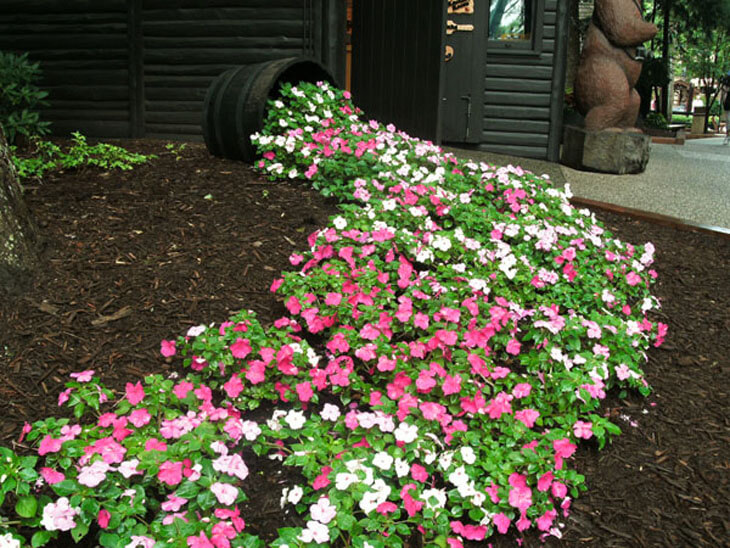 Spilled Flower Pot Ideas