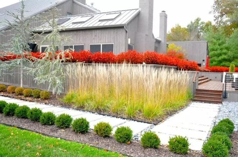 50 best backyard landscaping ideas