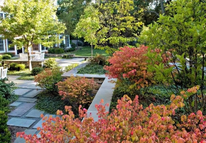 52 best backyard landscaping ideas