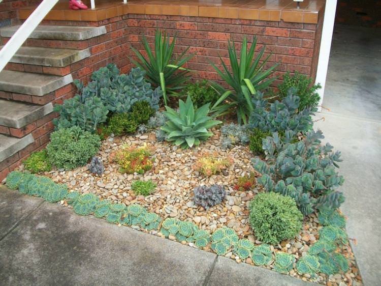 Succulent Garden Ideas: Small garden embellished by some succulents