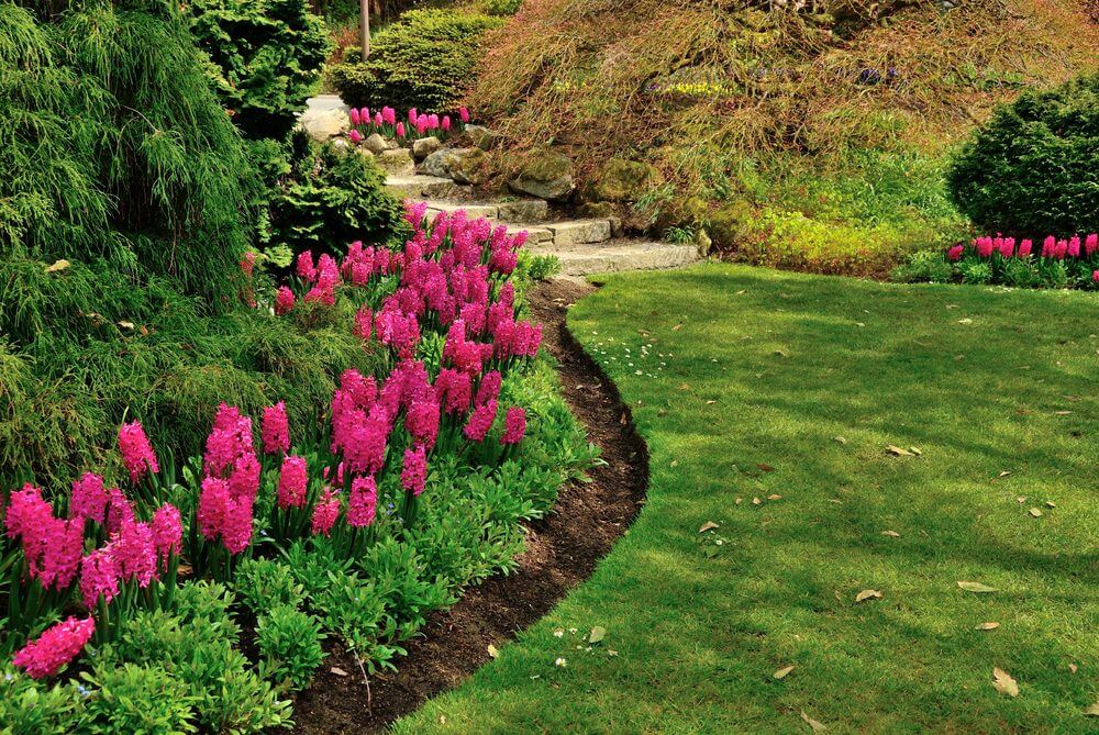Most Beautiful DIY Garden Path Ideas